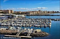 Puerto deportivo