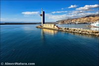 Torre del puerto