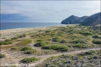 Playa de Los Muertos