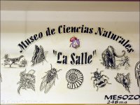 Mural