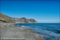 Playa del Algarrobico