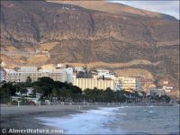Aguadulce