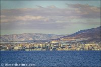 Aguadulce