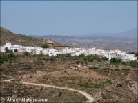 Almócita