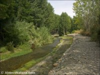 Río Andarax