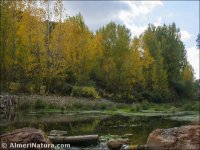 Río Andarax