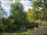 Río Andarax