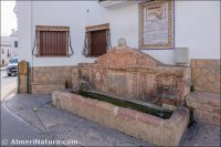 Laujar
