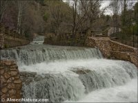 Río Andarax