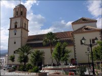 Alcolea