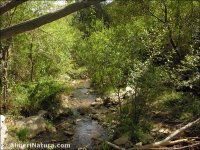 Fuente Agria