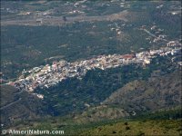 Abrucena