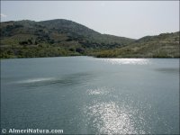 Fiñana