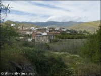 Nacimiento