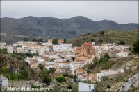 Lubrín