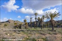 Cortijo de los Arejos