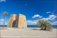 Castillo de Macenas