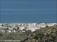 Mojácar Playa