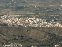 Turre