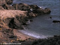 Villaricos
