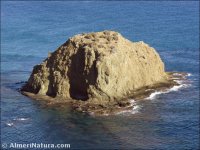 Isla Negra