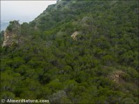 Sierra del Aguilón