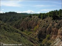 Sierra del Oso