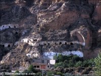 Cuevas del Almanzora.