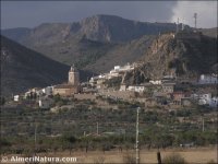 Oria