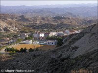 Partaloa