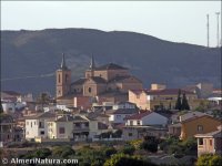 Cantoria