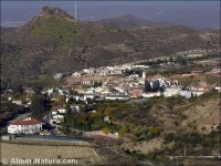 Albanchez