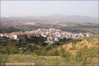 Serón