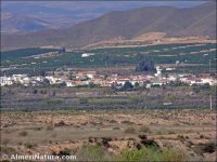 La Concepción