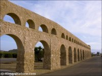 Antas