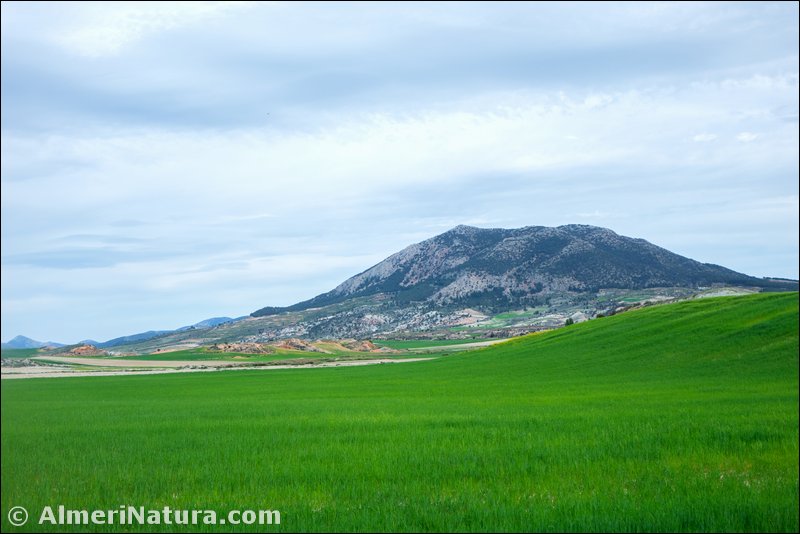 Paisajes sierra María-Los Vélez