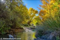 Rambla de Los Santos