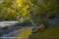 Rambla de Los Santos