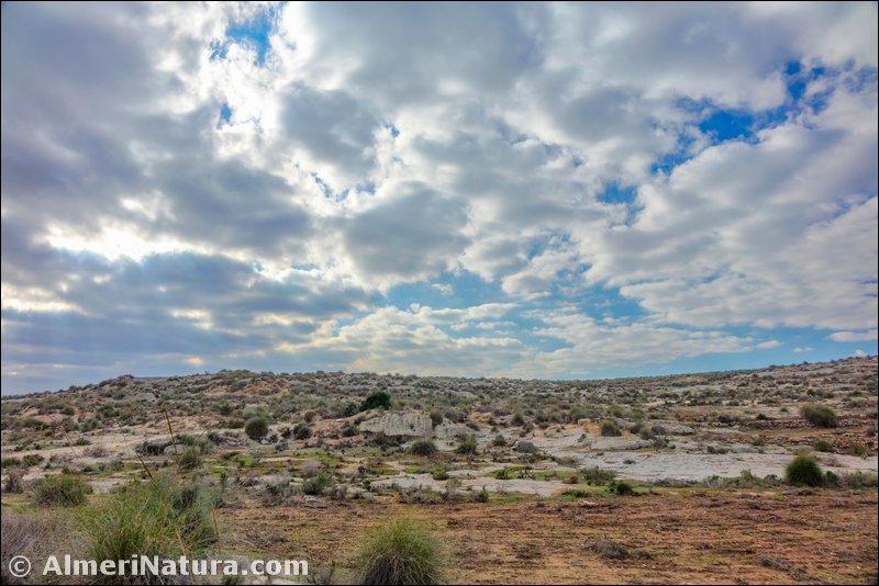 Landscapes of Yesos de Sorbas